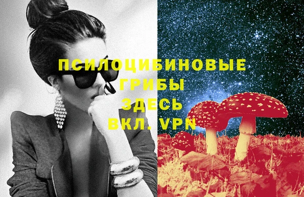 СК Алексеевка