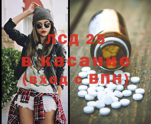 гашик Сосновый Бор