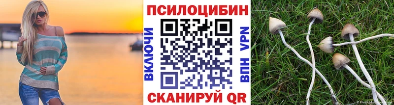 Галлюциногенные грибы Cubensis Гаврилов Посад